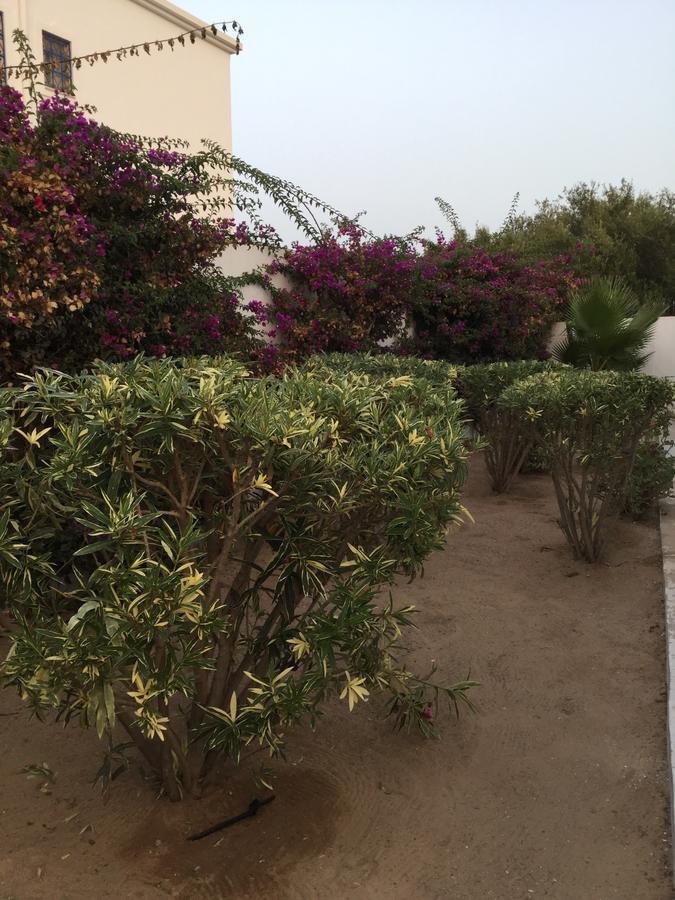 Bed and Breakfast Midounia Esterno foto